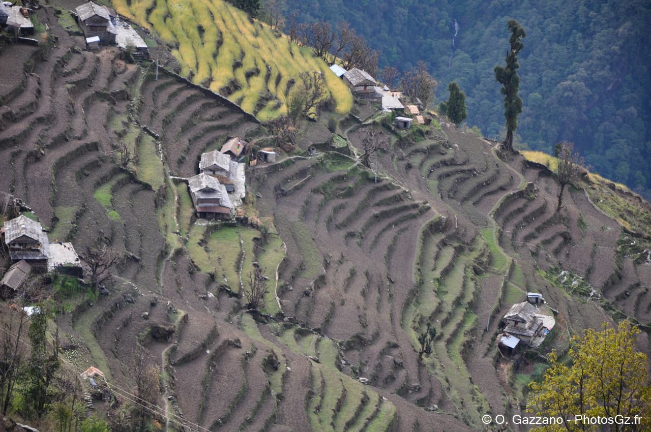 Culture en étages / Népal